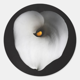 white calla lily classic round sticker