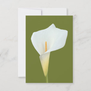 White Calla Lily Flower Backyard Garden Photo Card