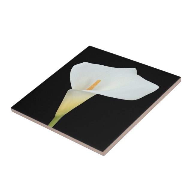 White Calla Lily Flower Backyard Garden Photo  Tile (Side)