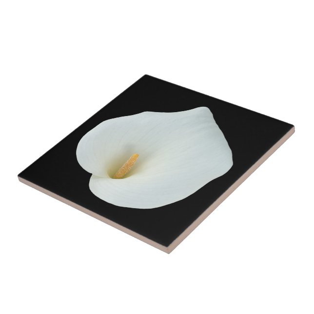 White Calla Lily Flower Backyard Garden Photo  Tile (Side)