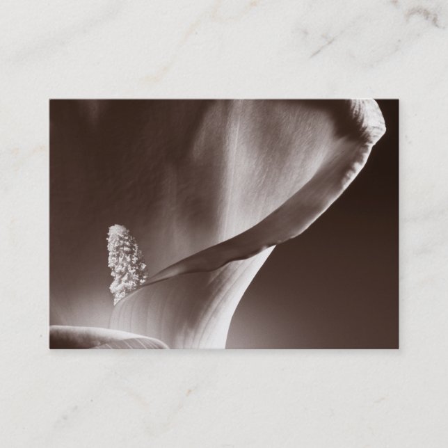 White Calla Lily Flower Black Background Business Card (Front)