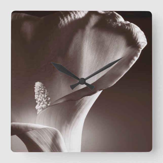 White Calla Lily Flower Black Background Square Wall Clock (Front)