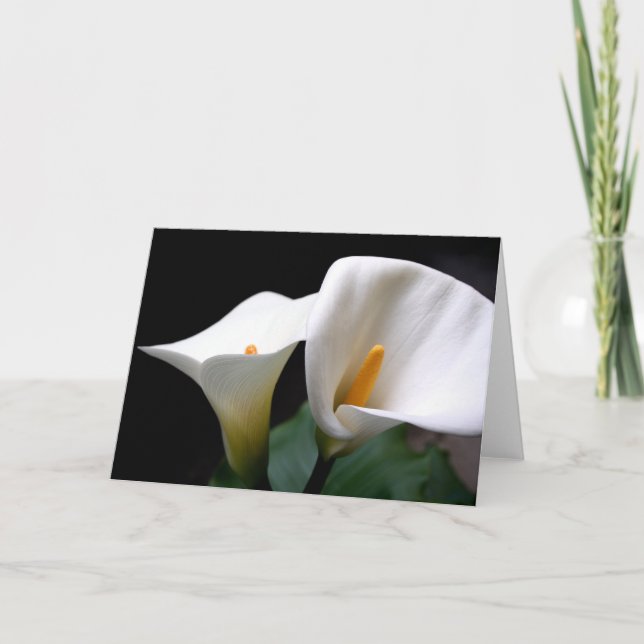 White Calla Lily Flower Greeting Card (Front)