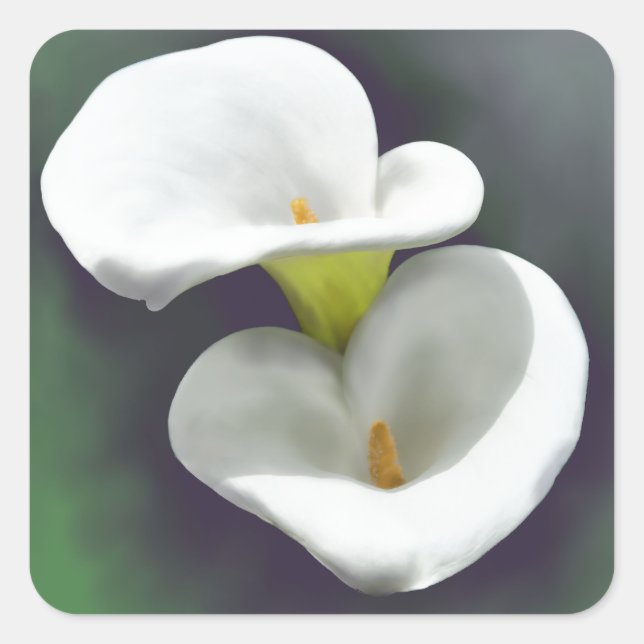 White Calla Lily Flowers Square Sticker (Front)