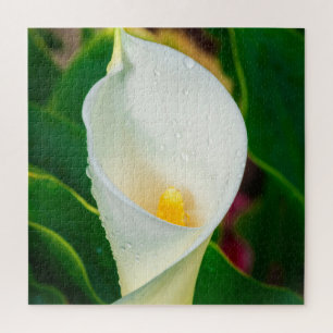 White Calla Lily Macro Botanical Photo Nature Art Jigsaw Puzzle