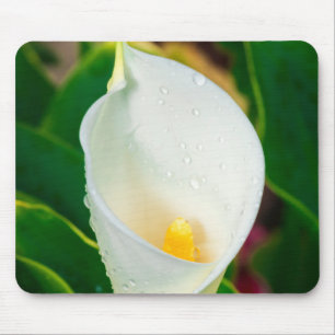 White Calla Lily Macro Botanical Photo Nature Art Mouse Mat