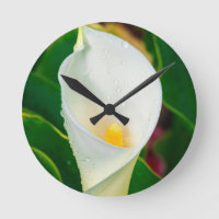 White Calla Lily Macro Botanical Photo Nature Art