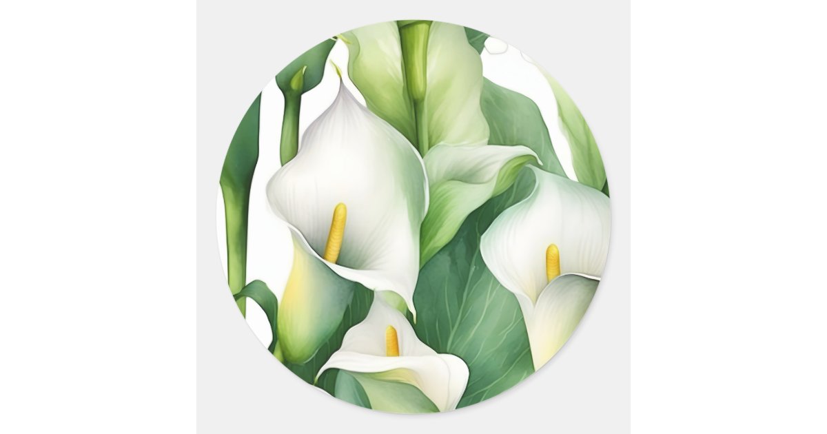 White Calla Lily Nature Classic Round Sticker | Zazzle