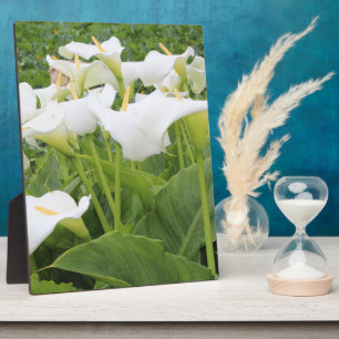 White Calla Lily Plaque