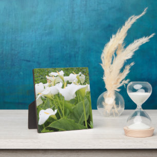 White Calla Lily Plaque