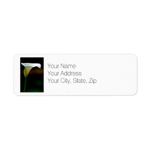 White Calla Lily Return Address