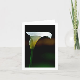 White Calla Lily Stationary Note Card