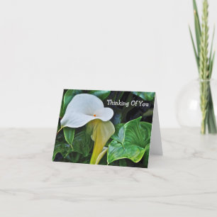 WHITE CALLA LILY, "THINKING OF YOU" (CUSTOMIZABLE) CARD
