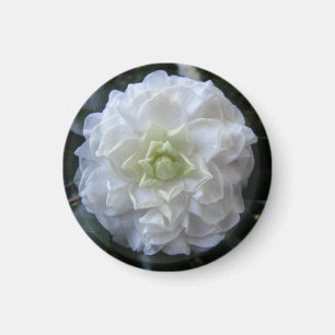 White Camelia Photo Circle Magnet