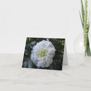White Camelia Photo Folded Note Card