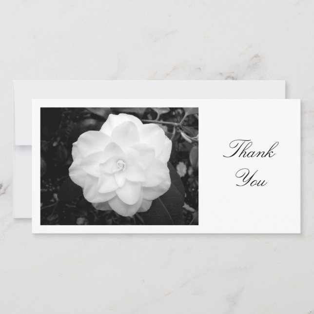 White Camelia - Thank You (Front)