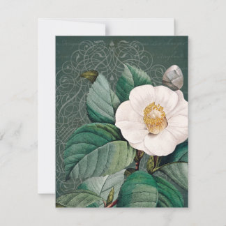White Camellia Flat Greeting Card