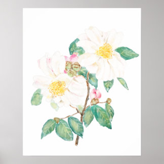 white camellia flowers watercolor poster