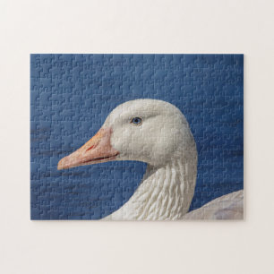 White Canadian Goose Jigsaw Puzzle