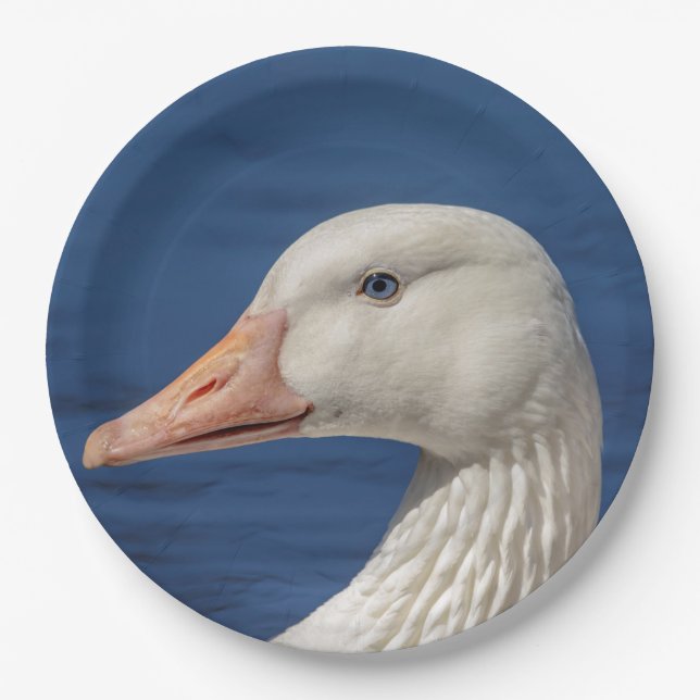 White Canadian Goose Paper Plate (Front)