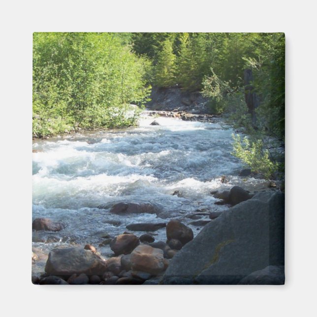 White caps. magnet (Front)