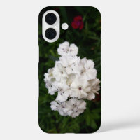 White Carnation Flowers