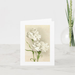 White Carnation Thinking of You/Thank You Card