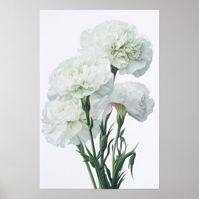 White Carnations Flower Art Print Poster (Front)