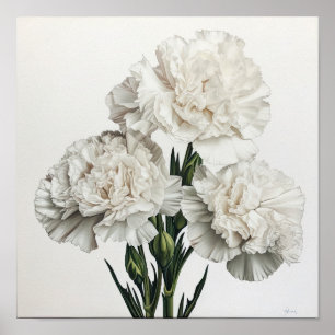 White Carnations Flower Art Print Poster