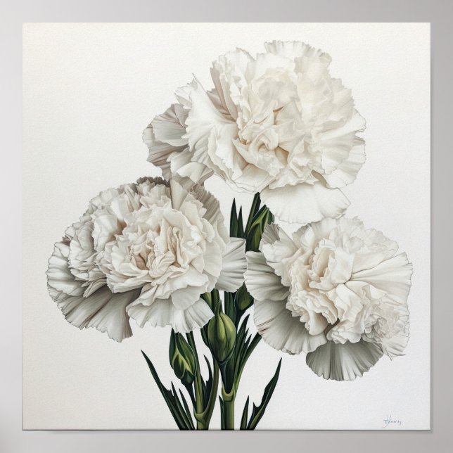 White Carnations Flower Art Print Poster (Front)