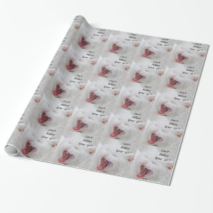 White cat, 40th birthday, gift wrap. wrapping paper