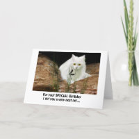 white cat and dragonfly cropped, birthday text ...