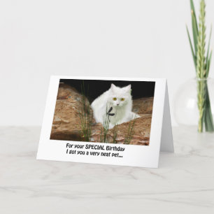 white cat and dragonfly cropped, birthday text ... card