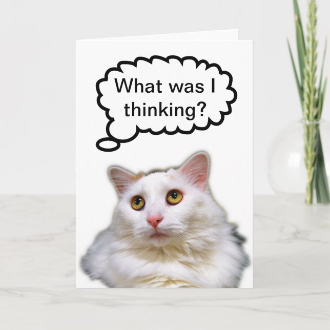 White Cat Belated Birthday Humour Card (Front)