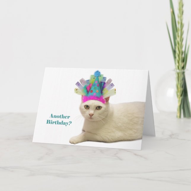 White Cat Birthday Card (Front)