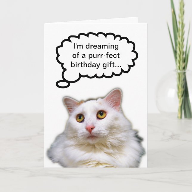 White Cat Birthday Humour Card (Front)