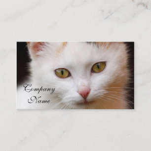 White cat business card