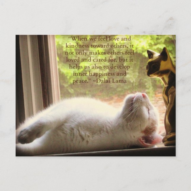 White Cat & Dalai Lama Kindness Quote Postcard (Front)