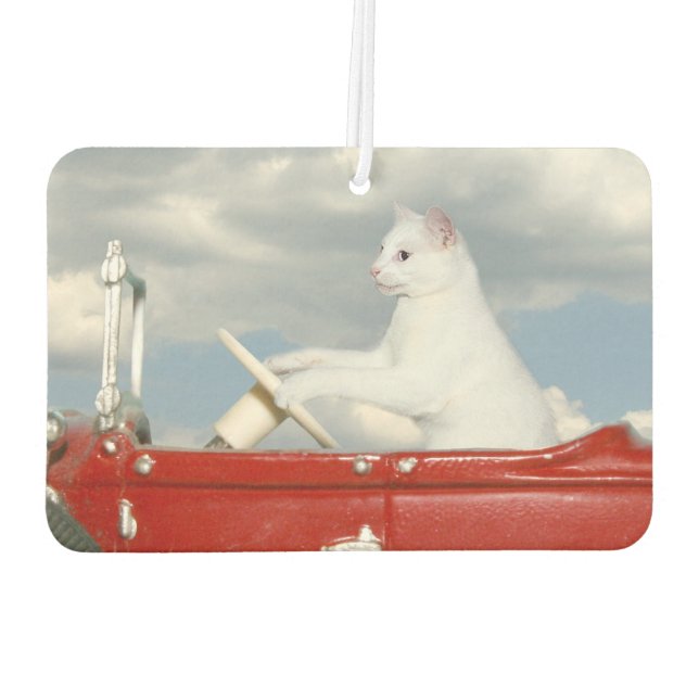 White cat drives a car air freshener (Back)