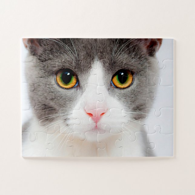 White Cat Face, Easy Cat Jigsaw Puzzle (Horizontal)