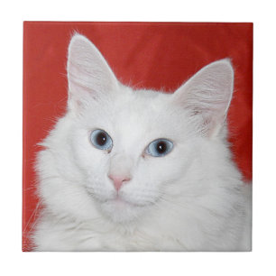 White cat face tile