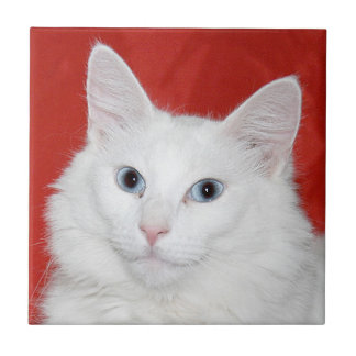White cat face tile