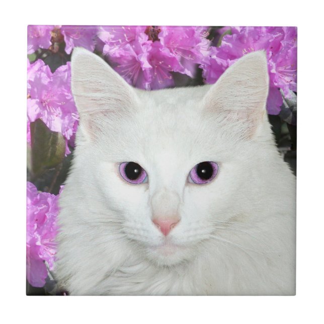 White cat face tile (Front)