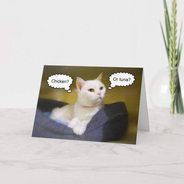 White Cat Funny Birthday Card (Front)