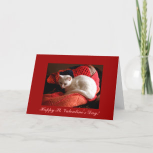 White Cat Happy St. Valentine's Day! Holiday Card