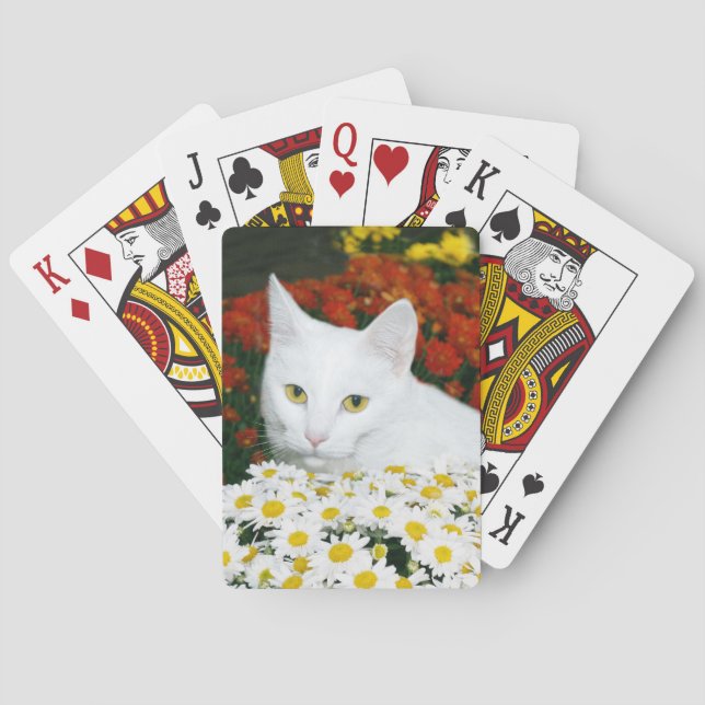 White cat in fall flowers playing cards (Back)