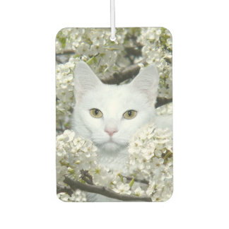 White cat in white blossoms car air freshener