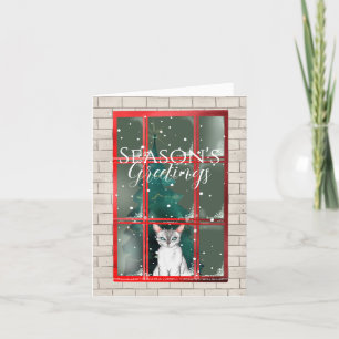 White Cat Inside Christmas Window Holiday Card