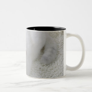 White cat looking up Two-Tone coffee mug