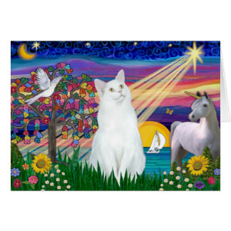 White Cat - Magical Night